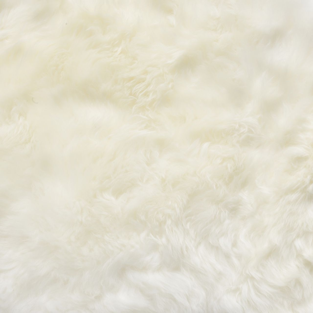 Cream White Long Wool Rug