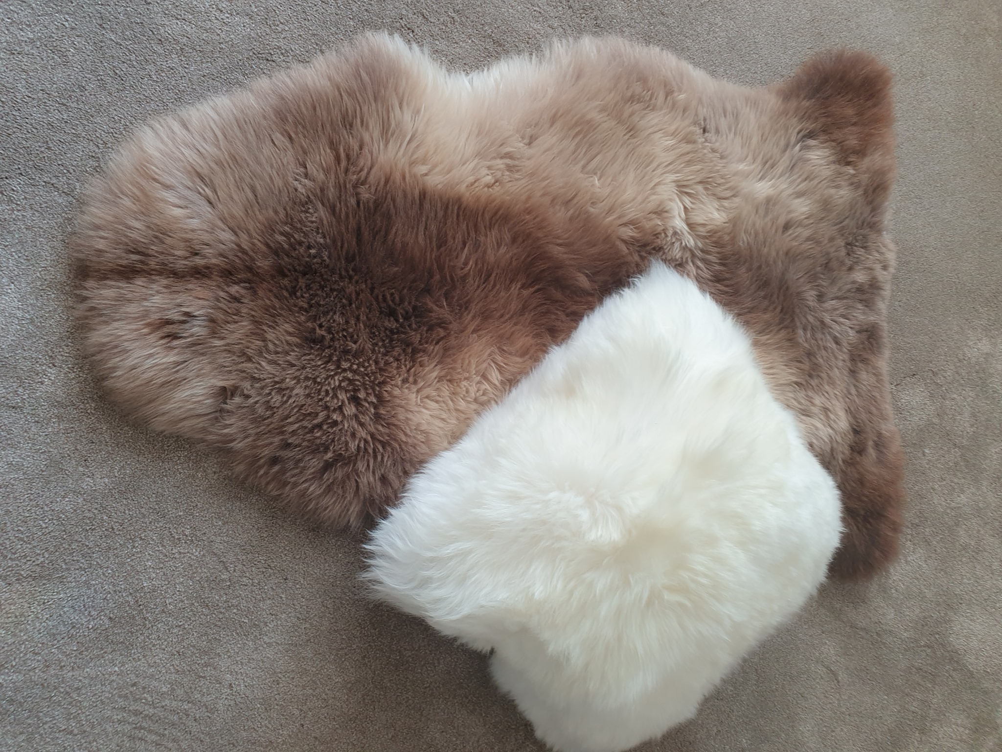 How Can You Tell if a Sheepskin Rug is Real? - Jacobs & Dalton Blog ...