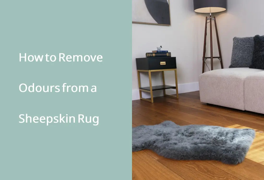 How to Remove Odours from a Sheepskin Rug