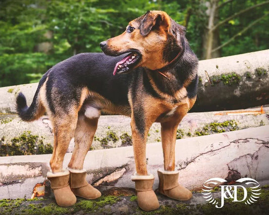 These Sheepskin Boots for Dogs to Match their Owners are a MUST HAVE