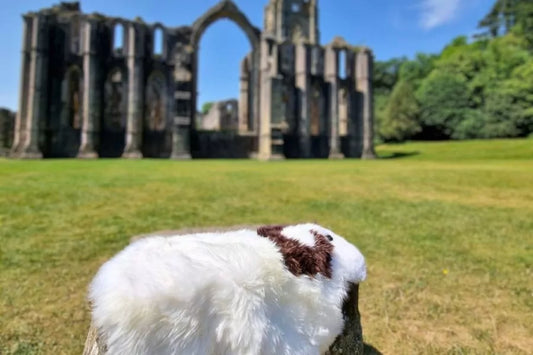 The Most Instagrammable Spots in North Yorkshire