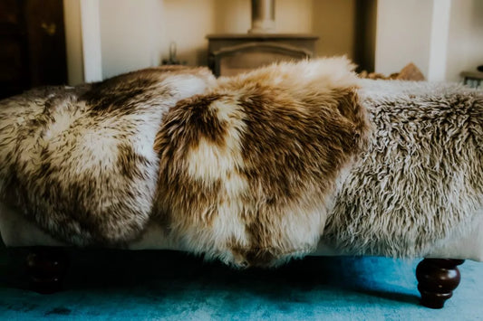 How to Style Your Home Sustainably