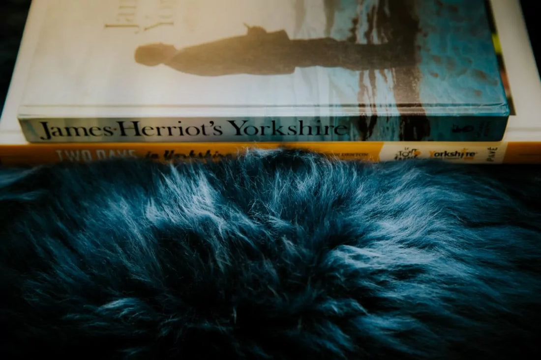 How to Beat the Winter Chill