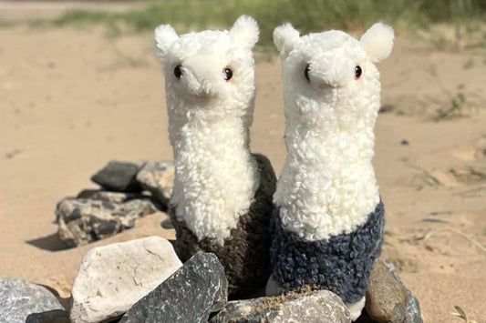 Embracing the Outdoor Lifestyle in Summer