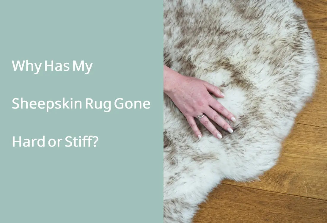 Why Has My Sheepskin Rug Gone Hard or Stiff?