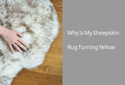 Why Is My Sheepskin Rug Turning Yellow?