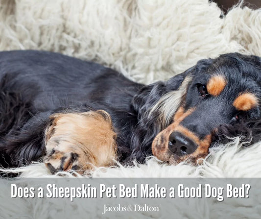 Does a Sheepskin Pet Bed Make a Good Dog Bed?