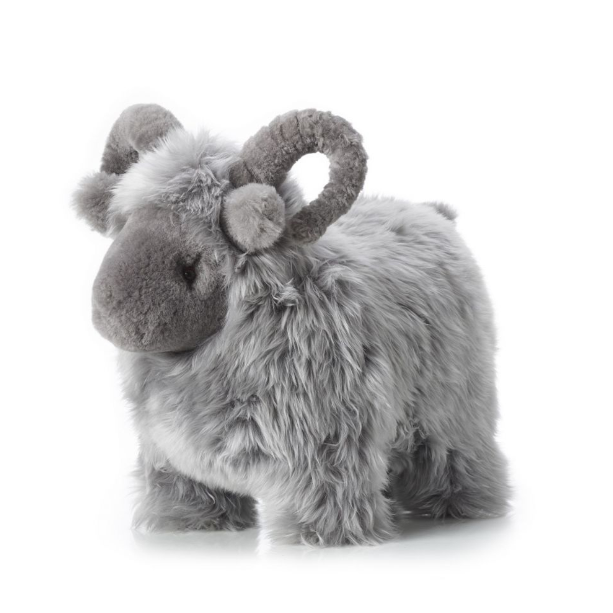 Lucky Sheep