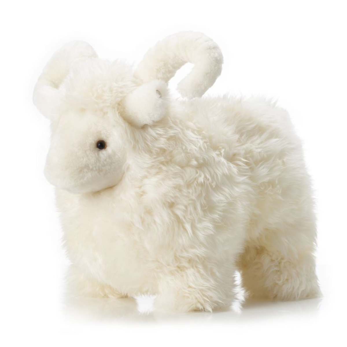 Lucky Sheep