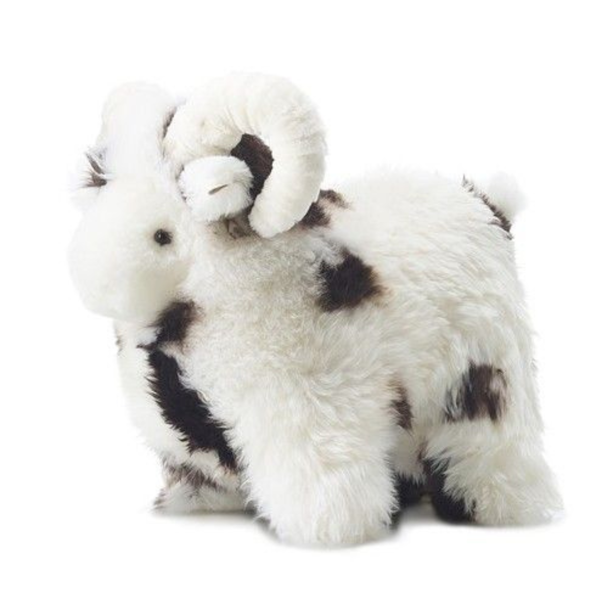 Lucky Sheep