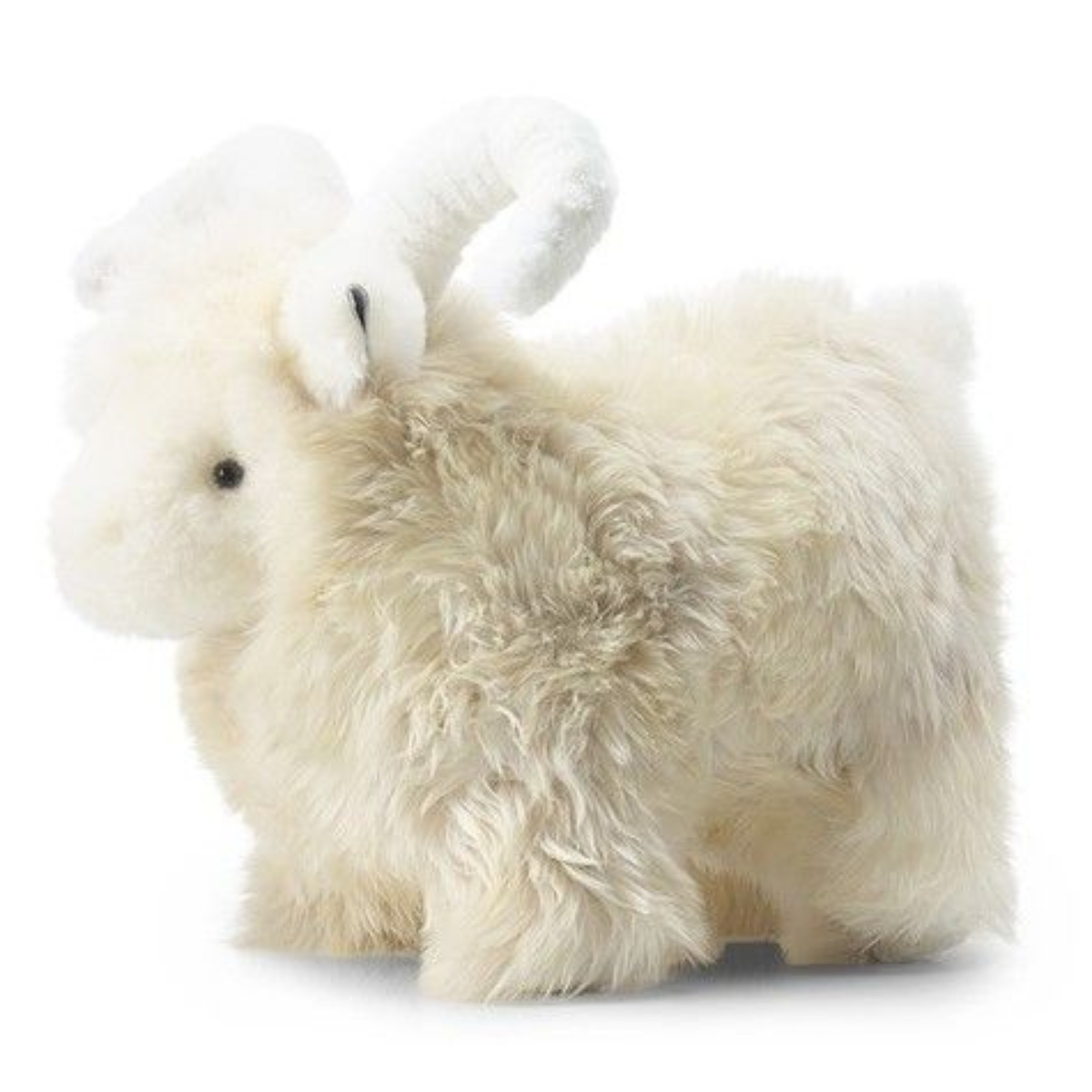 Lucky Sheep