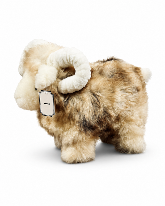 Lucky Sheep - Limited Edition